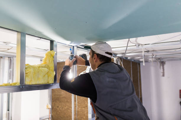 Best Commercial Insulation in Amelia Court House, VA