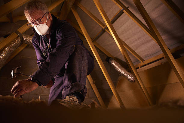 Best Insulation Materials and Products in Amelia Court House, VA